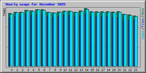 Hourly usage for December 2025